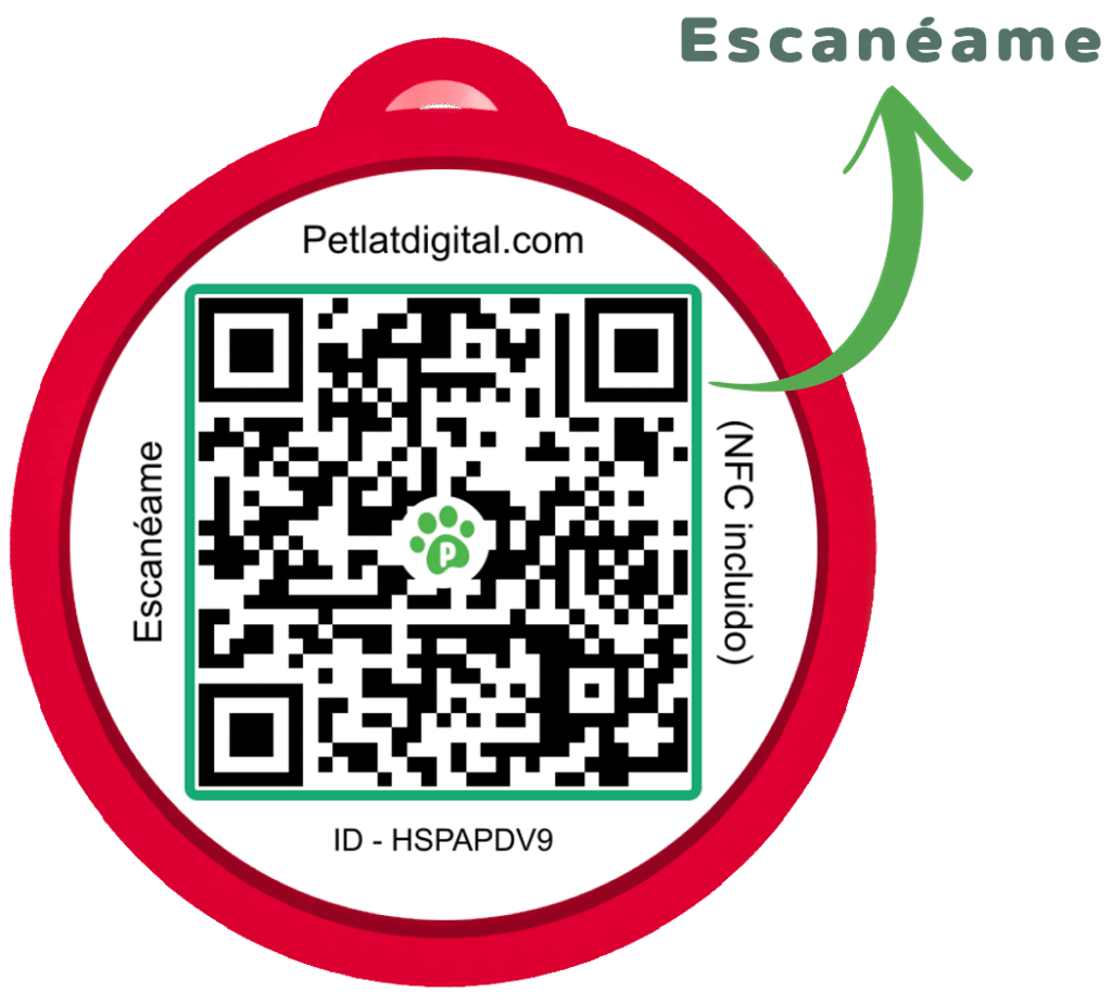 Placa inteligente PetLat con código QR y tecnología NFC, lista para escanear y acceder al perfil de la mascota